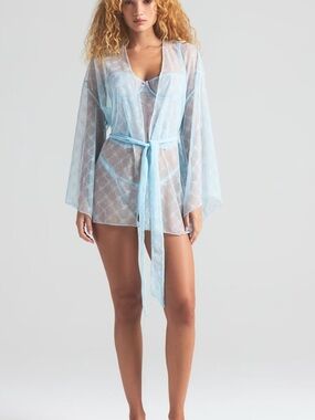 SKIMS Powder Blue Sheer Lace Robe